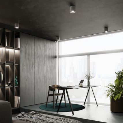 Spotlight MIKA 1xGU10/10W/230V grey