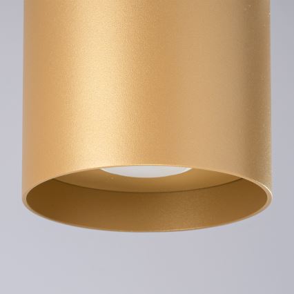 Spotlight MIKA 1xGU10/10W/230V gold