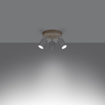Spotlight VERDO 3xGU10/10W/230V white/beech