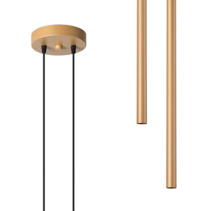Chandelier on a string PASTELO 2xG9/8W/230V gold