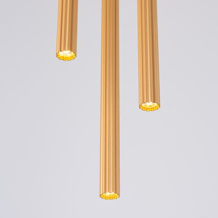 Chandelier on a string ARCHE 3xG9/8W/230V gold