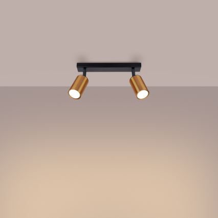 Spotlight WINX 2xGU10/10W/230V black/copper
