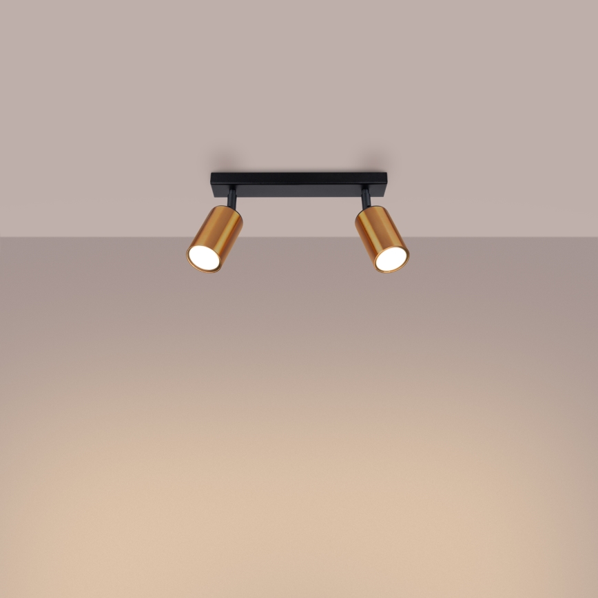 Spotlight WINX 2xGU10/10W/230V black/copper