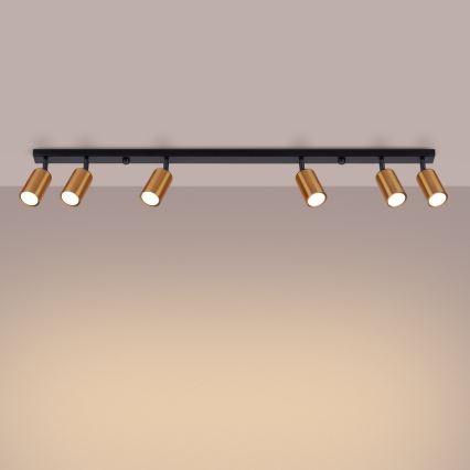 Spotlight WINX 6xGU10/10W/230V black/copper