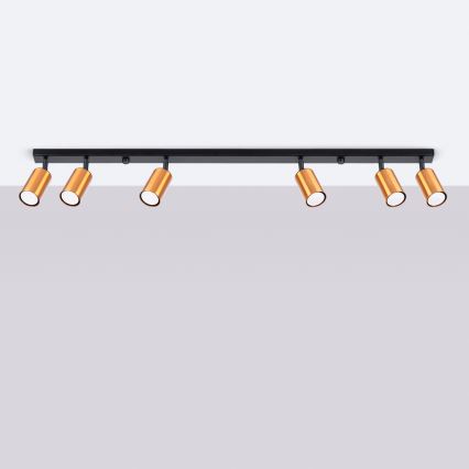 Spotlight WINX 6xGU10/10W/230V black/copper