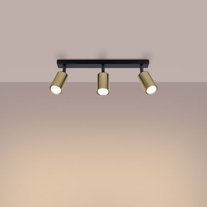 Spotlight WINX 3xGU10/10W/230V black/gold