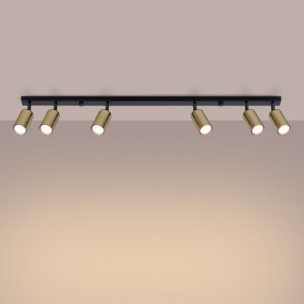 Spotlight WINX 6xGU10/10W/230V black/gold