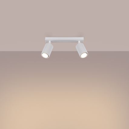 Spotlight KARBON 2xGU10/10W/230V white