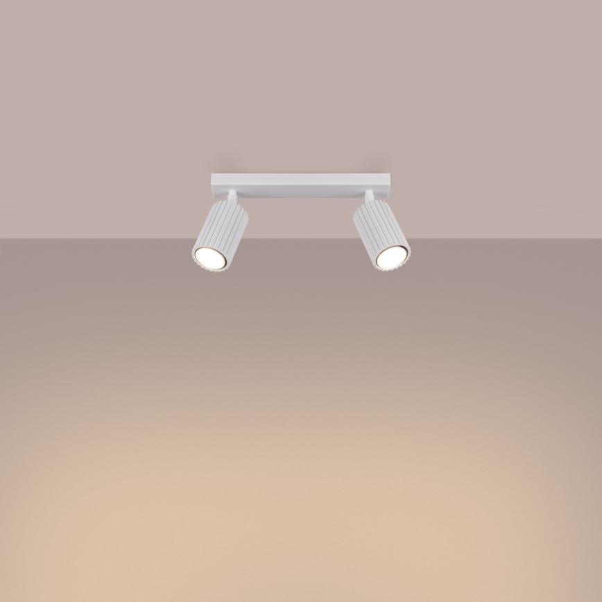 Spotlight KARBON 2xGU10/10W/230V white
