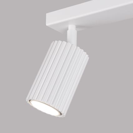 Spotlight KARBON 2xGU10/10W/230V white