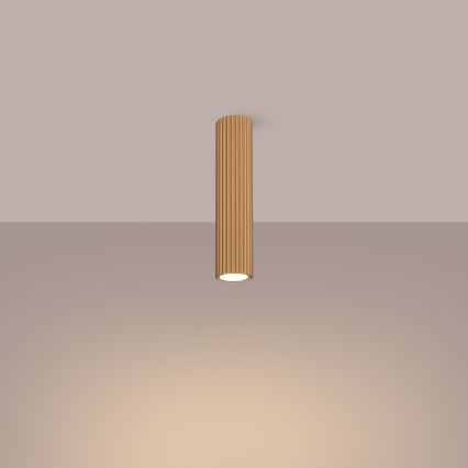 Spotlight KARBON 1xGU10/10W/230V 30 cm gold