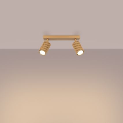 Spotlight KARBON 2xGU10/10W/230V gold
