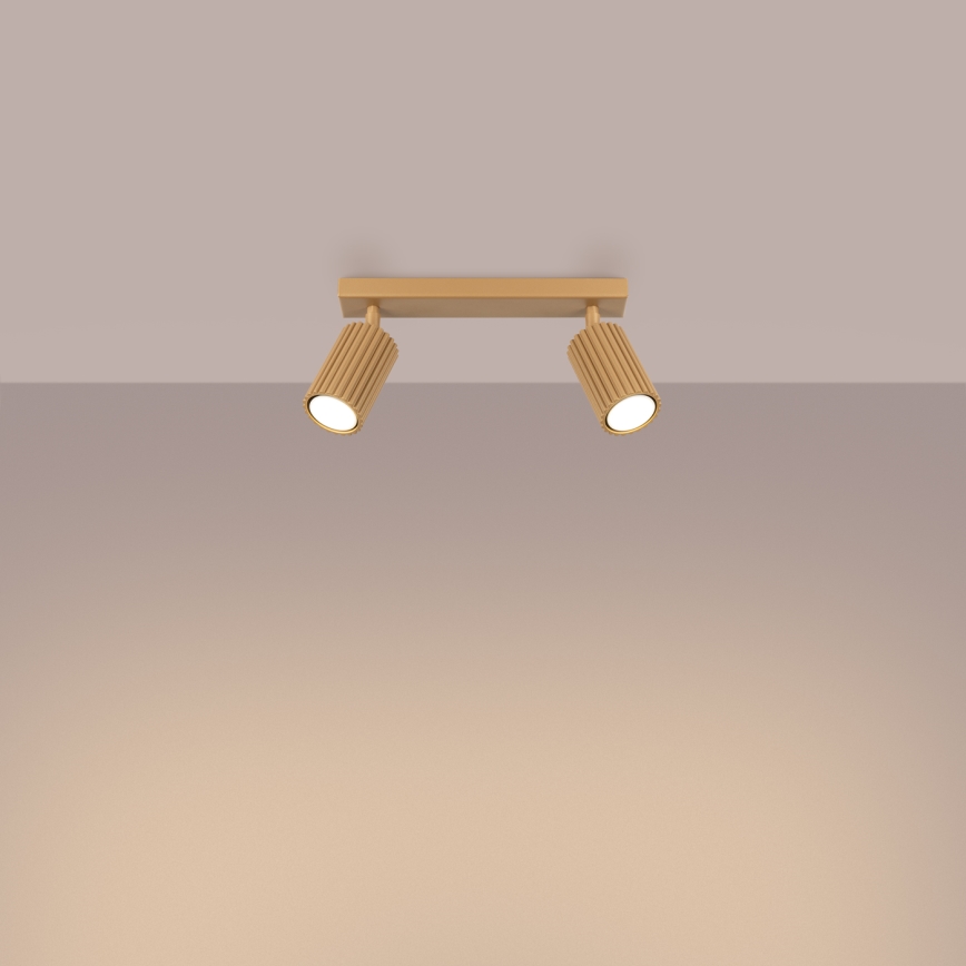 Spotlight KARBON 2xGU10/10W/230V gold