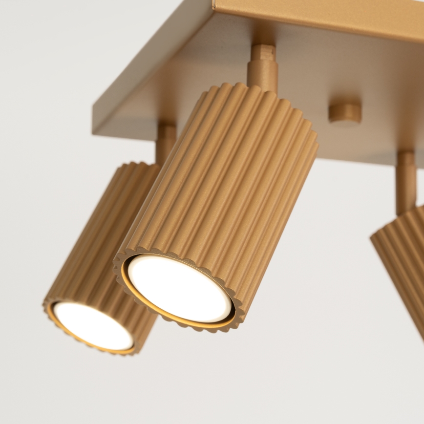 Spotlight KARBON 4xGU10/10W/230V gold