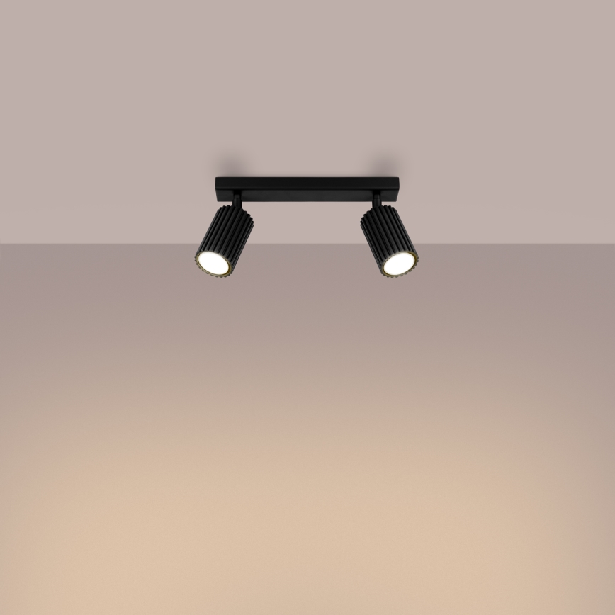 Spotlight KARBON 2xGU10/10W/230V black