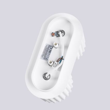 AURA Spotlight 2xGU10/10W/230V White