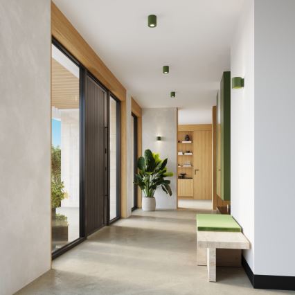 ORBIS Wall-Mounted Spotlight 1xG9/8W/230V Concrete/Green