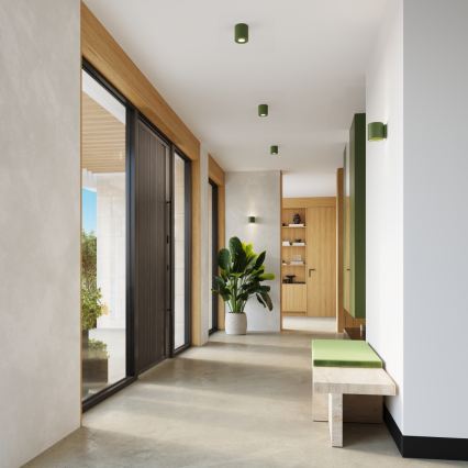 ORBIS Concrete/Green Spotlight 1xGU10/10W/230V