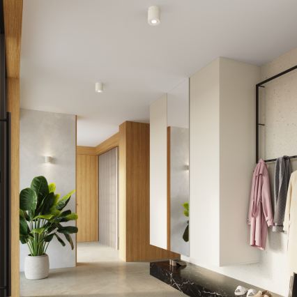 ORBIS Spotlight 1xGU10/10W/230V Concrete/Cream