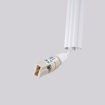 Cable pendant light ARCHE 2xG9/8W/230V white