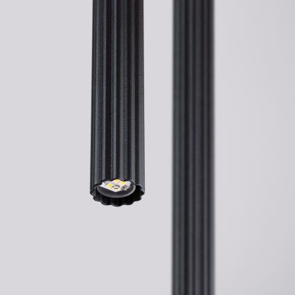 ARCHE cord pendant light 2xG9/8W/230V black