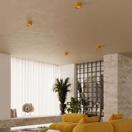 MODO Spotlight 1xGX53/10W/230V Yellow