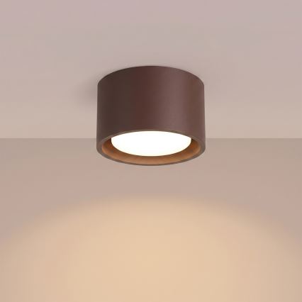 MODO Spotlight 1xGX53/10W/230V, brown