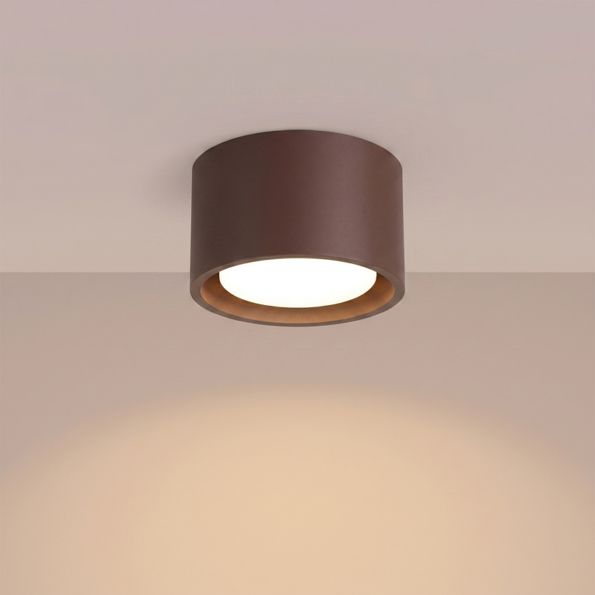 MODO Spotlight 1xGX53/10W/230V, brown