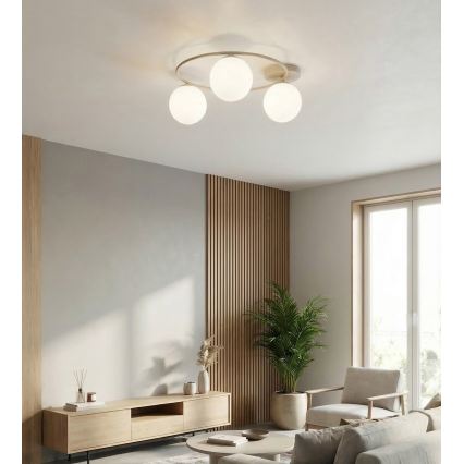 SOPRA Ceiling Light 3xE14/10W/230V Beige/White