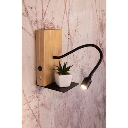 LED Wall Light LECTOR LED/2.5W/230V USB Oak