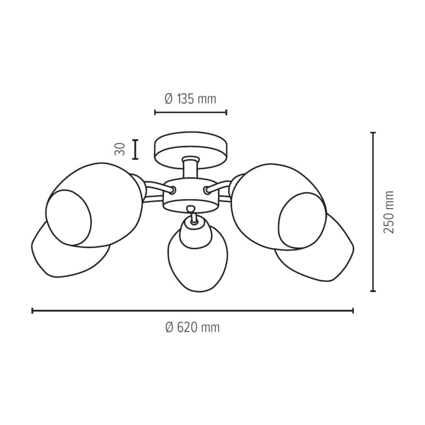 Surface-mounted chandelier PARMA 5xE27/40W/230V oak