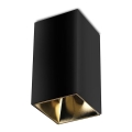 Spotlight 1xGU10/35W/230V black/gold