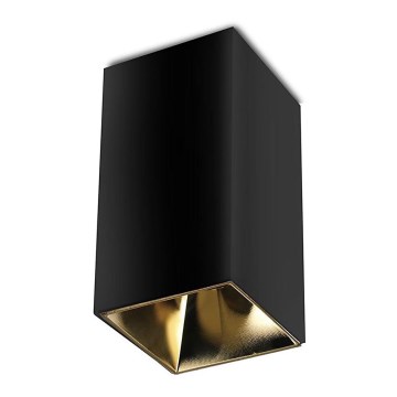 Spotlight 1xGU10/35W/230V black/gold
