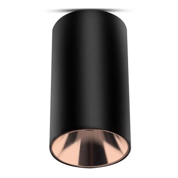 Spotlight 1xGU10/35W/230V black/Rose gold