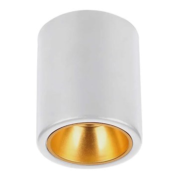 Spotlight 1xGU10/35W/230V round white