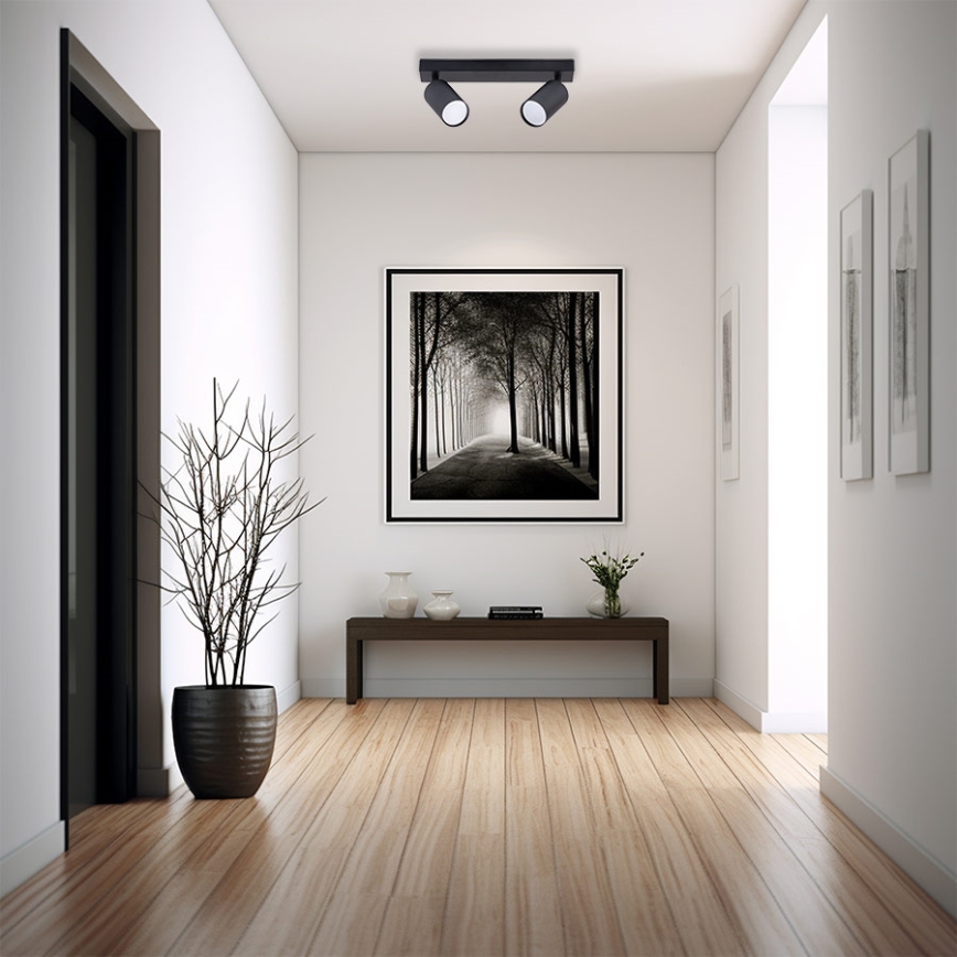 Spotlight 2xGU10/35W/230V black