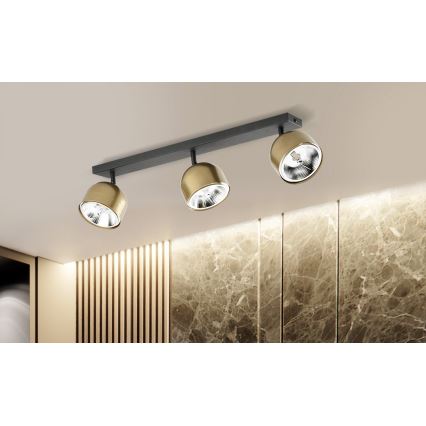 Spotlight ALTEA 3xAR111 GU10/50W/230V gold/black