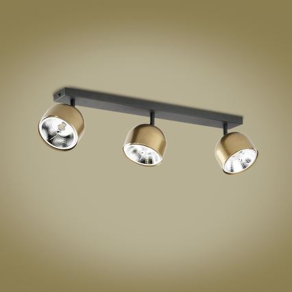 Spotlight ALTEA 3xAR111 GU10/50W/230V gold/black