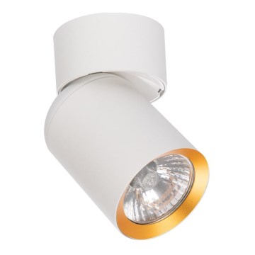 Spotlight ANDY 1xGU10/8W/230V white/gold