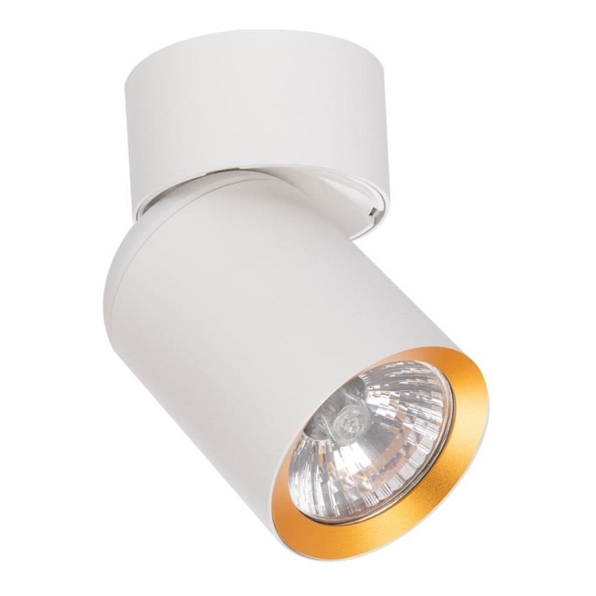 Spotlight ANDY 1xGU10/8W/230V white/gold