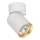 Spotlight ANDY 1xGU10/8W/230V white/gold