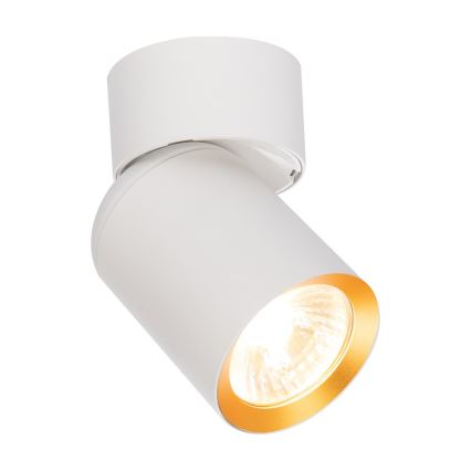 Spotlight ANDY 1xGU10/8W/230V white/gold