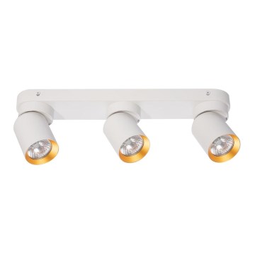 Spotlight ANDY 3xGU10/8W/230V white/gold