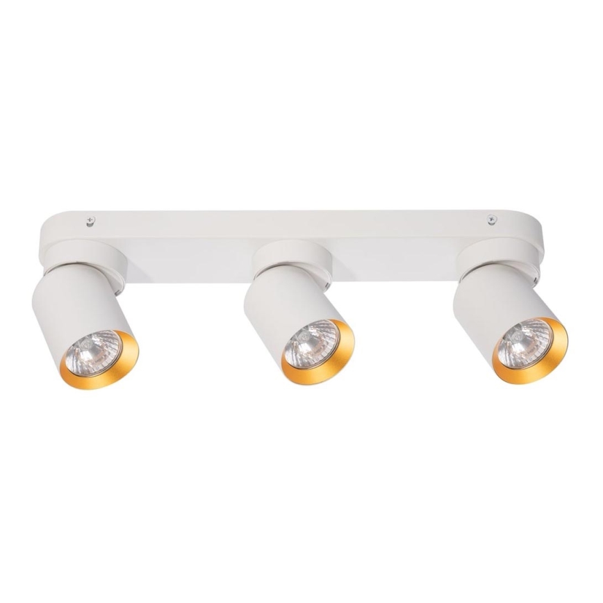 Spotlight ANDY 3xGU10/8W/230V white/gold