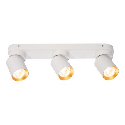 Spotlight ANDY 3xGU10/8W/230V white/gold