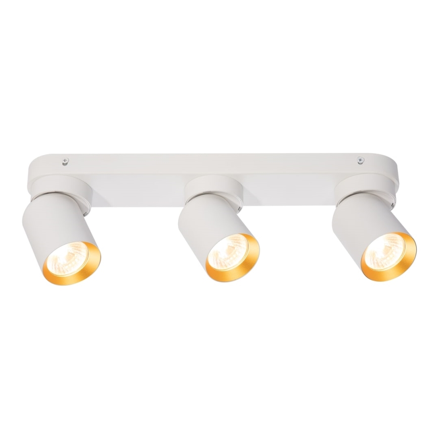 Spotlight ANDY 3xGU10/8W/230V white/gold