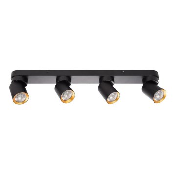 Spotlight ANDY 4xGU10/8W/230V black/gold