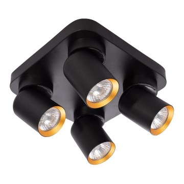 Spotlight ANDY 4xGU10/8W/230V black/gold
