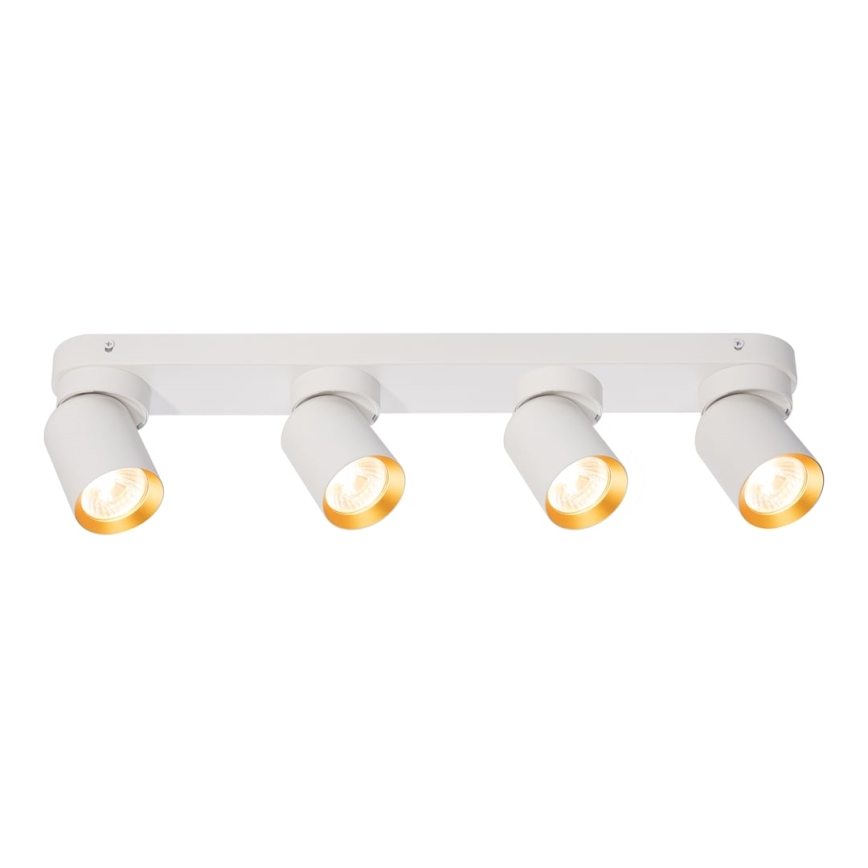 Spotlight ANDY 4xGU10/8W/230V white/gold
