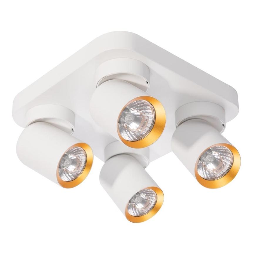 Spotlight ANDY 4xGU10/8W/230V white/gold